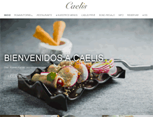 Tablet Screenshot of caelis.com